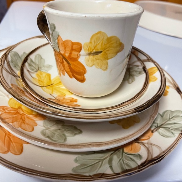 Franciscan "october" Pattern
by FRANCISCAN(5 piece 1 serving) - Picture 9 of 11